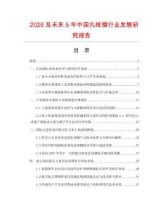 2026及未来5年中国扎线捆行业发展研究报告