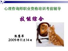 心理咨询师技能 总复习