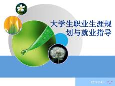 大学生职业指导规划第六讲
