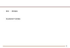 云南旅游(景洪)旺地地产投资分析研究报告