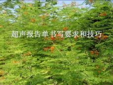 超声诊断学之---超声报告单书写要求和技巧