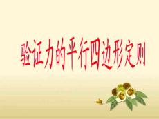 2009高三物理高考实验复习- 验证力的平行四边形定则课件全国通用