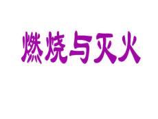鲁教版九年级化学41《 燃烧与灭火》【精品】