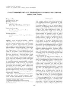A novel homothallic variety of Agaricus bisporus comprises rare tetrasporic