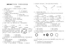 八年级科学上册期末考试试卷