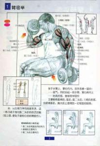 肌肉锻炼图解教程