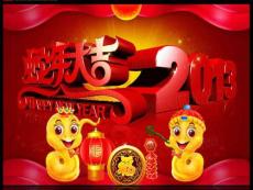 2013年蛇年红色背景精美PPT贺卡