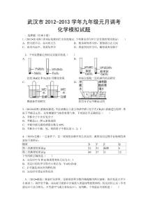 武汉市2012-2013学年九年级元月调考化学模拟试题