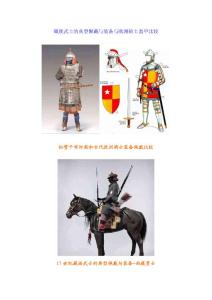 藏族武士装备佩戴与欧洲骑士盔甲比较欣赏/组图
