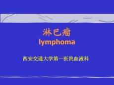 淋巴瘤1 - 淋巴瘤lymphoma