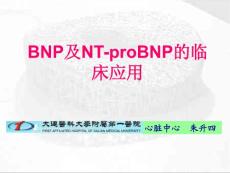 BNP及NT-proBNP的临床应用-课件，幻灯，PPT