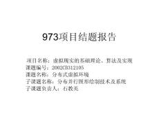 973项目结题报告