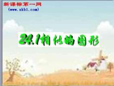 数学九年级上华东师大版24.1相似的图形 课件