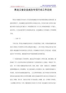 黑龙江省企业减负专项行动工作总结