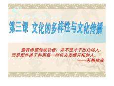 政治：2.3《文化的多样性与文化传播》复习课件(新人教必修3)