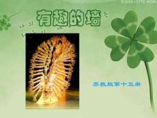 苏少版初中八年级上册美术精品课件《有趣的墙》