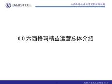 宝钢精益六西格玛管理教材（1）