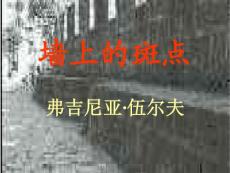 墙上的斑点2[中学语文课件 PPT课件 教学课件]