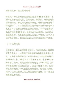 竹荪采收加工应注意的问题