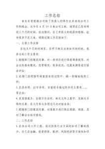 担保公司个人工作总结　
