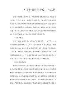 担保公司年度工作总结