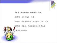 【大纲版】创新设计高三一轮物理复习精品课件：第八章 分子热运动 能量守恒 气体