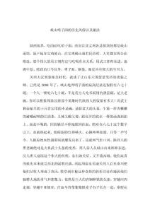 岐山面做法