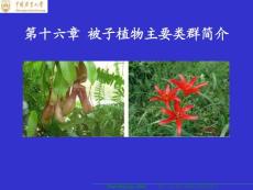 《植物生物学》16-1 基础知识 被子植物主要类群（一）