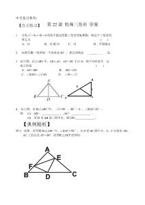 中考数学特殊三角形学案