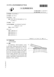 CN201120350982.9-一种汽车用轮胎刷