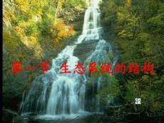 高中生物第五章第一节 生态系统的结构课件人教版必修3