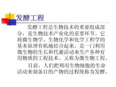 发酵工程（PPT）