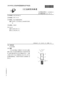 CN200910019469.9-电动洁厕刷