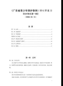 广东省青少年保护条例(修订草案)