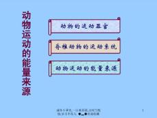 动物运动的能量来源