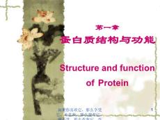 蛋白质结构与功能