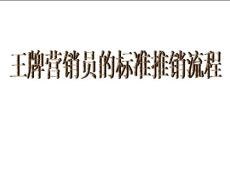 王牌营销员的标准推销流程（实用版）