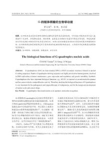 G-四链体核酸的生物学功能