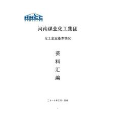 河南煤业化工集团化工企业基本情况资料汇编(290页)