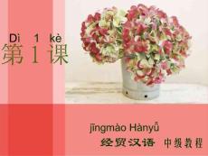 经贸汉语中级教程—精品课程_部分1（共计1136页）