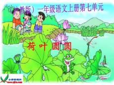 沪教版一年级语文上册《荷叶圆圆》演示课件