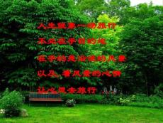 用坐标表示图形的平移