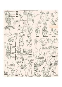 【基礎篇】手的結構理解與繪畫3