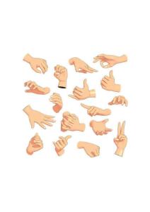 【基礎篇】手的結構理解與繪畫1