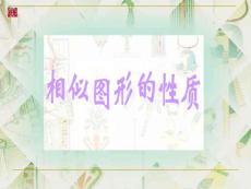 华师大版九年级上 相似图形的性质初三数学课件