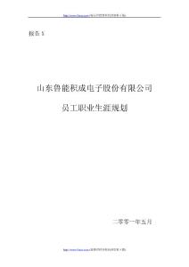 山東某股份有限公司員工職業(yè)生涯設(shè)計(DOC12)