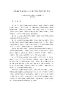 山東煤礦企業(yè)實施《安全生產(chǎn)培訓(xùn)管理辦法》細(xì)則