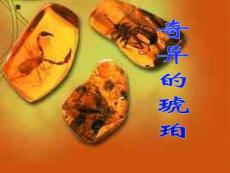 奇異的琥珀（德）柏吉爾