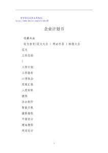 企業(yè)計劃書