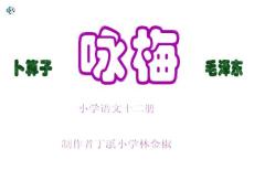 林金椒课件《卜算子·咏梅》课堂演示